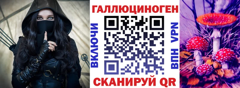 darknet Telegram  Бабаево  Псилоцибиновые грибы GOLDEN TEACHER 